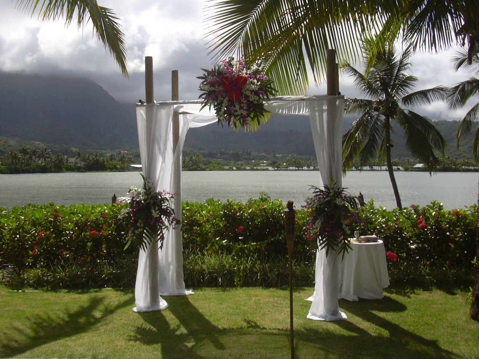 Plants on Rent for Events