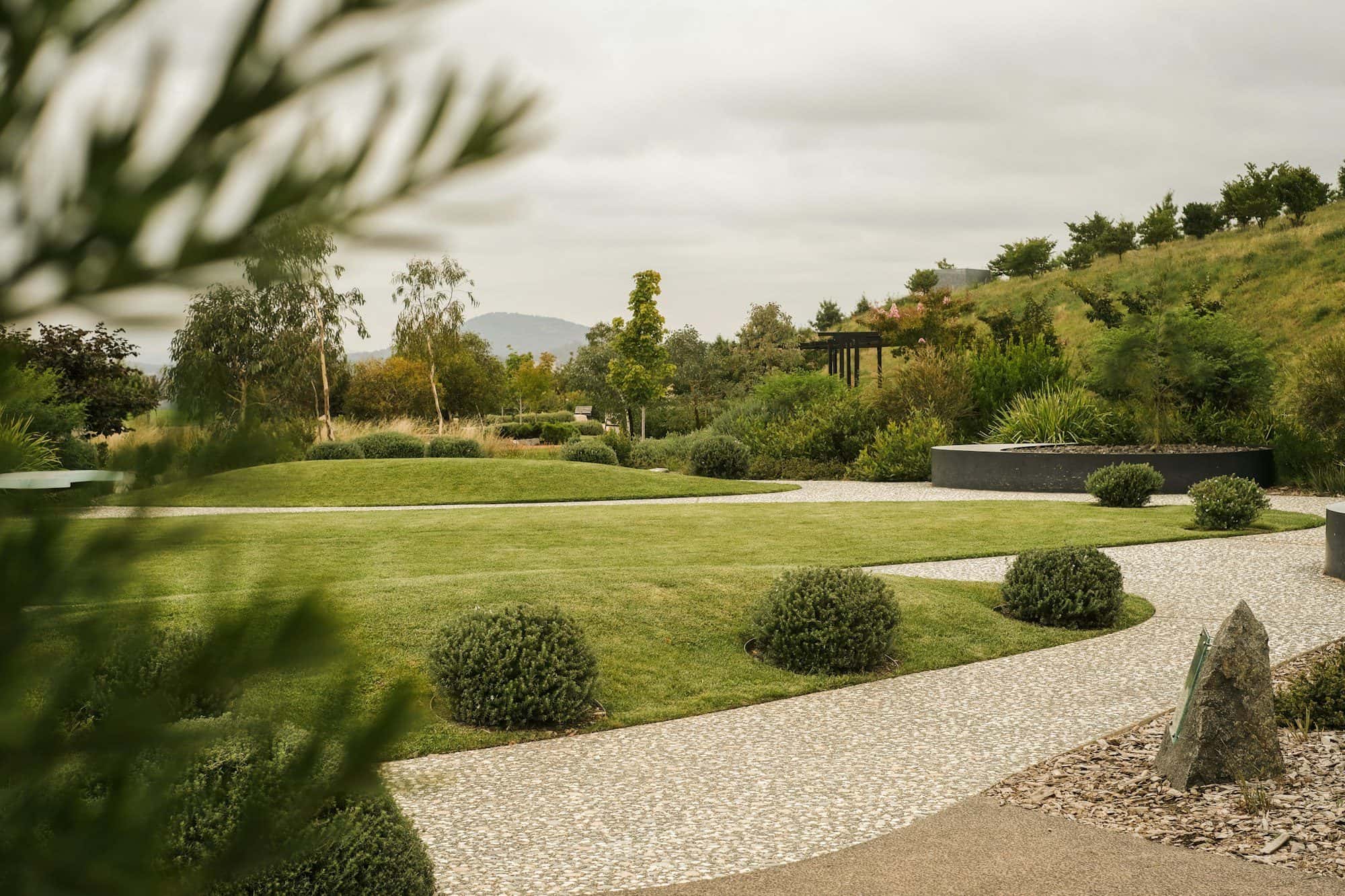 Landscape design vs landscape architecture