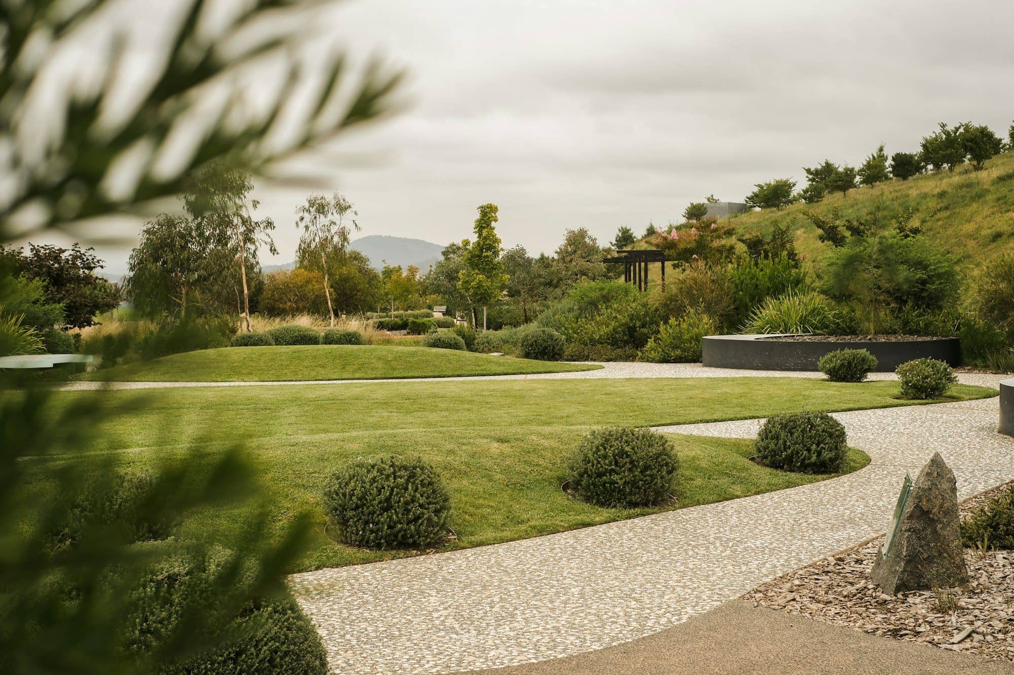 Landscape design vs landscape architecture