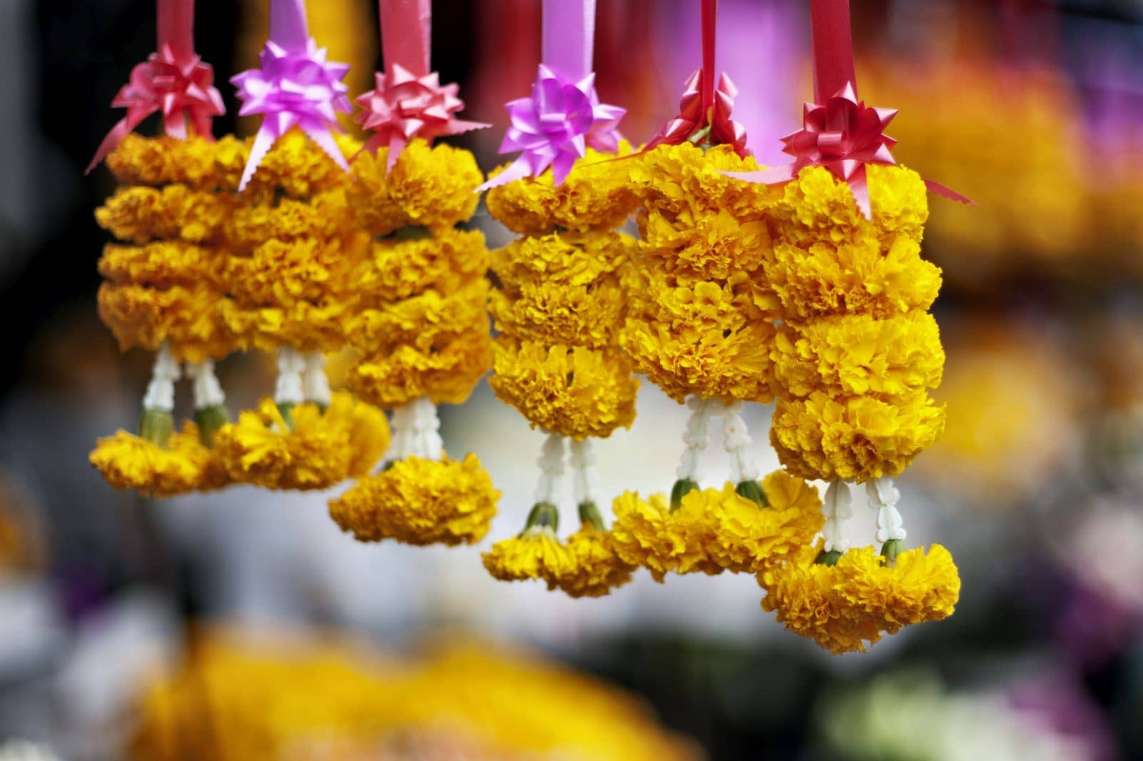 Marigold garlands hanging at a flower stall