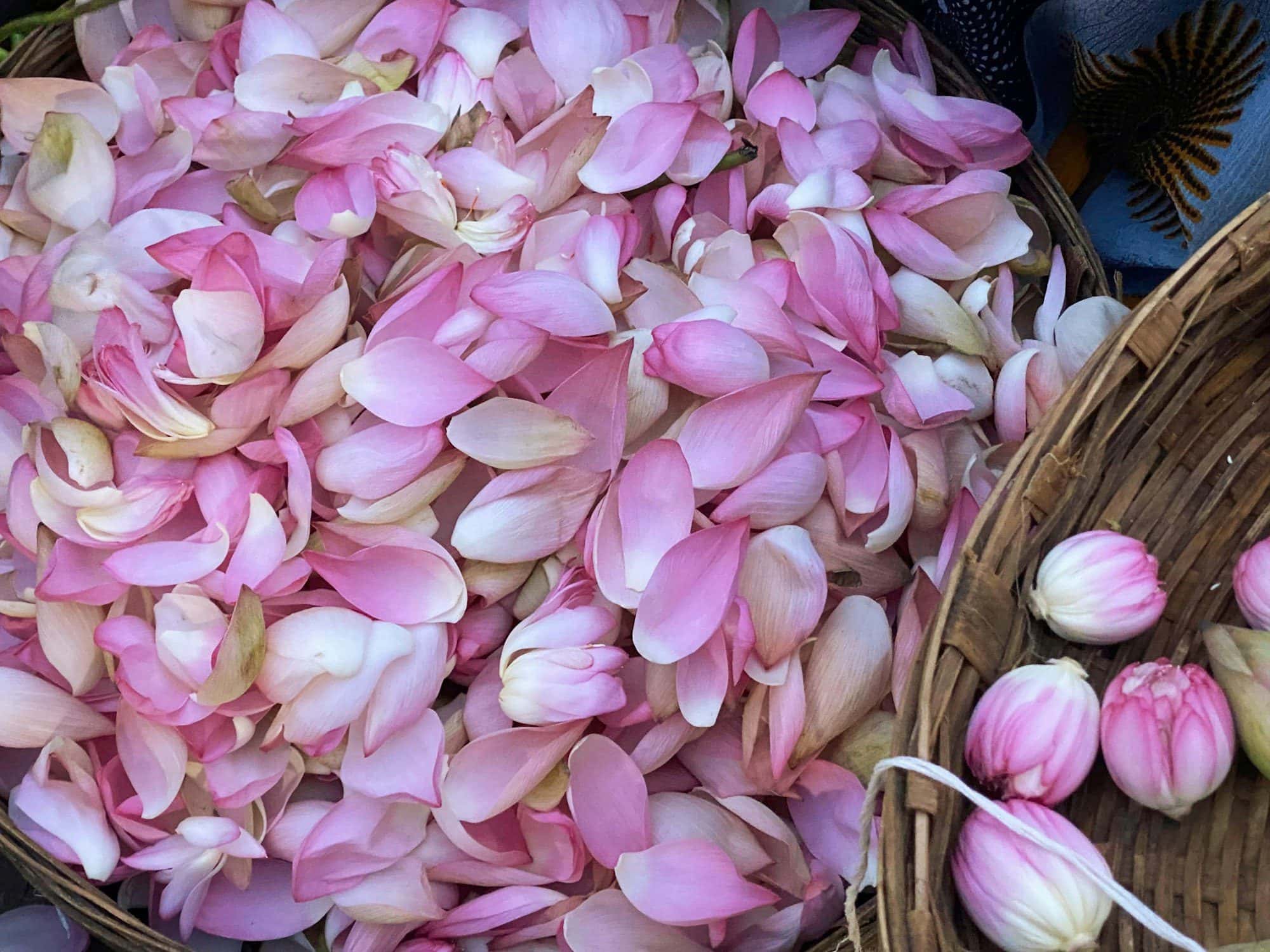 Pune flower market: Market Yard timings, what to buy and when