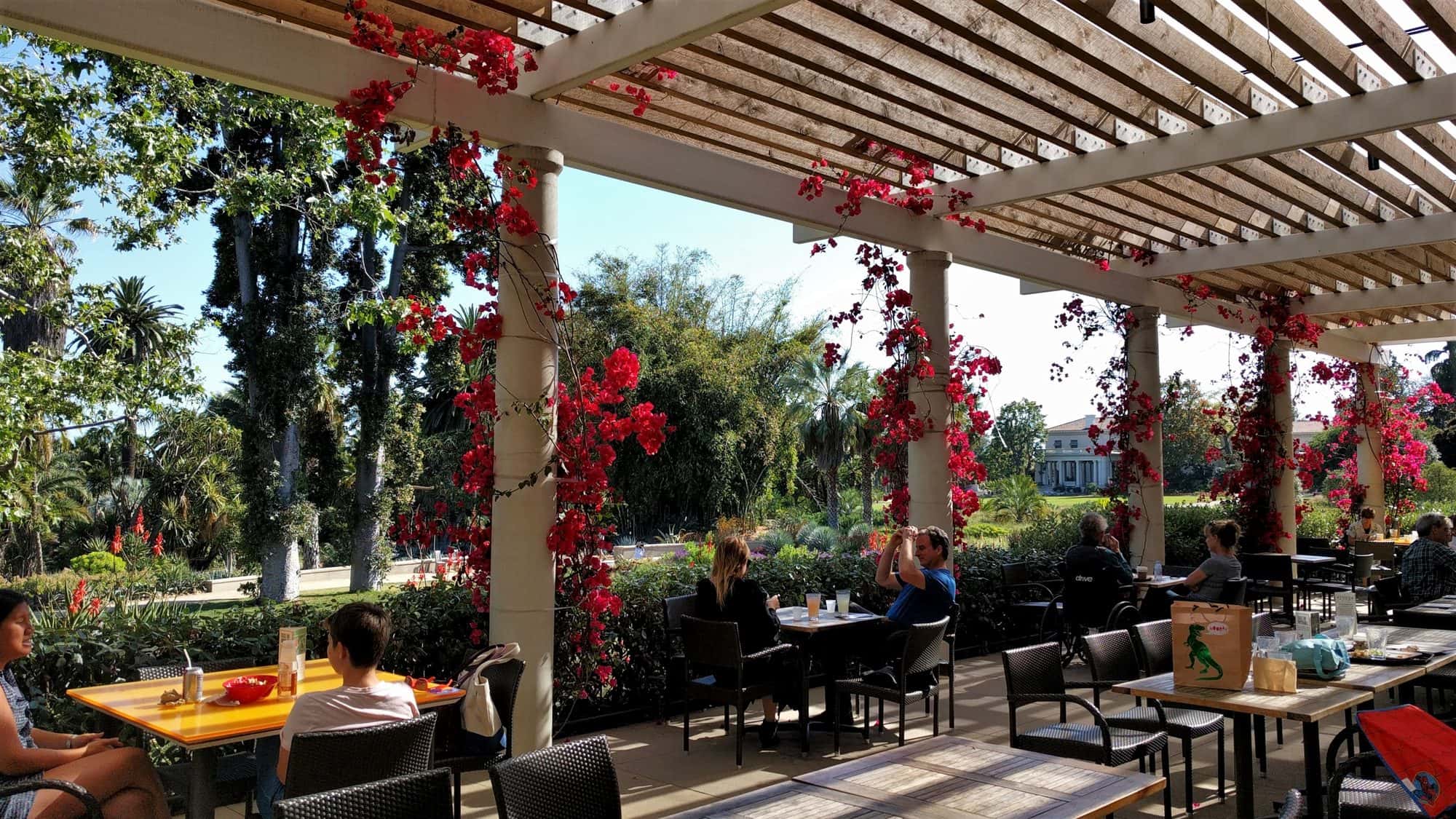 A terrace with a pergola covered in flowering bougainvillea shading tables below
