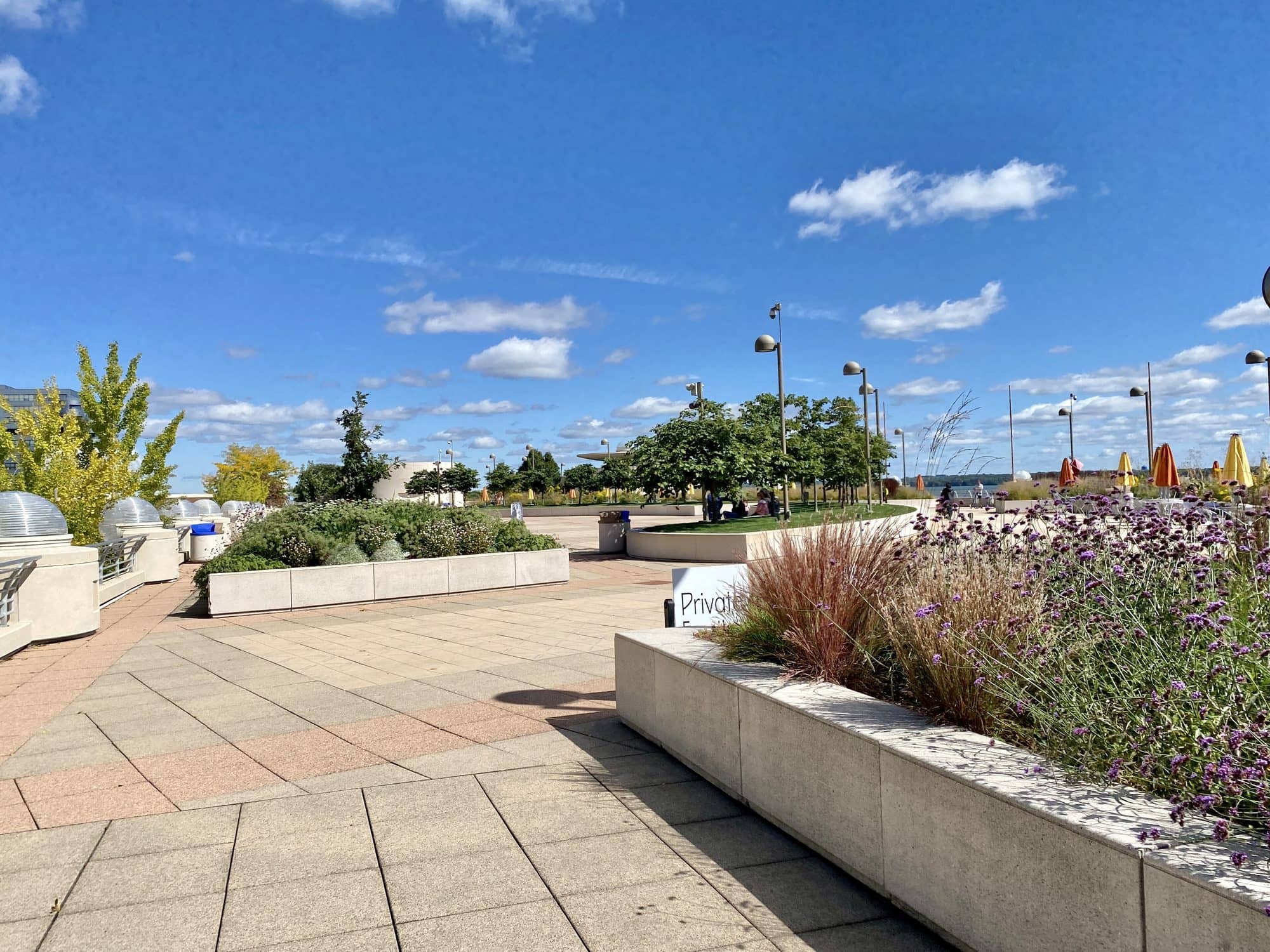 Long raised planters with grasses and flowering plants along the edge of a roof terrace