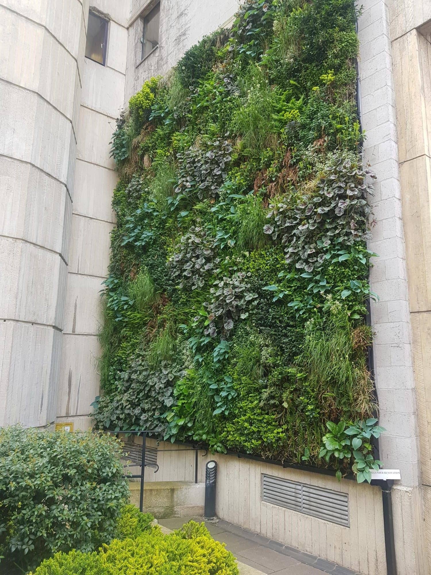 A tall living wall planted with many kinds of foliage plants