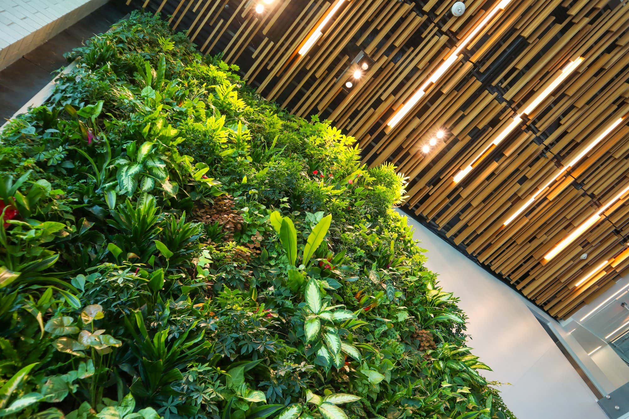 Vertical Gardens and Green Walls