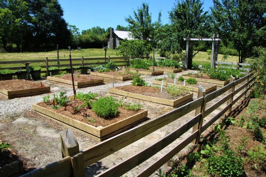 Cafeteria and Terrace Herb Garden