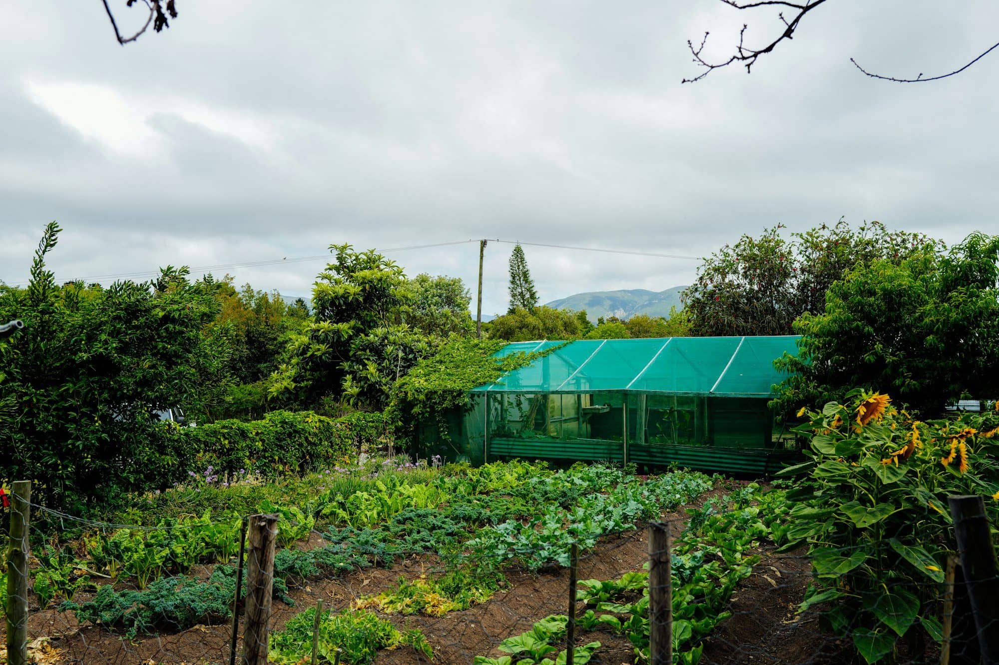 Hobby Farming Plots