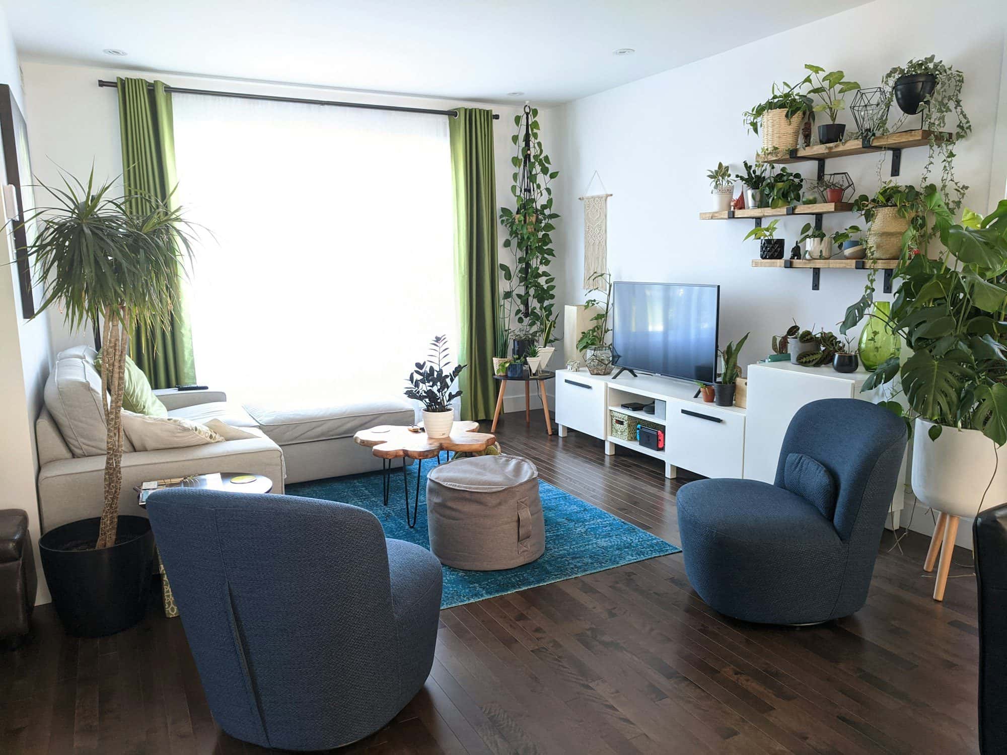 Plants on Rotation for Homes