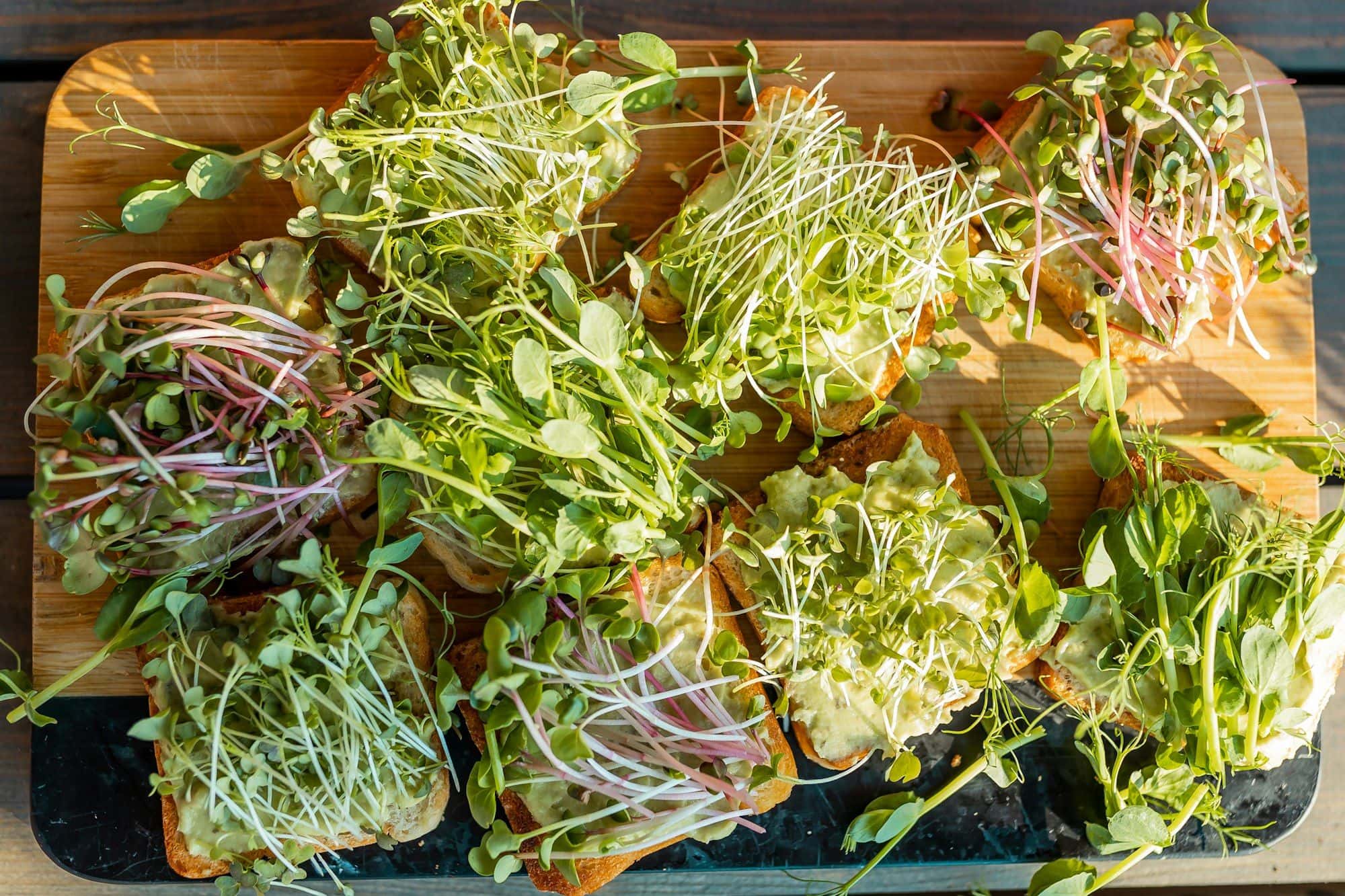 Open toasts spread with avocado and piled with pea shoots, sunflower and radish microgreens