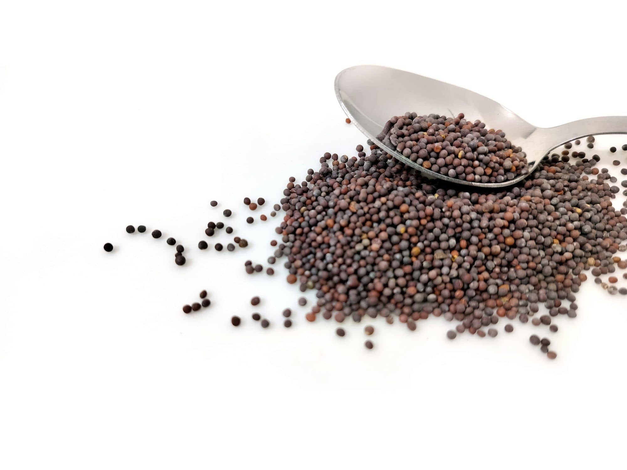 Dark mustard seeds spilling from a steel spoon on a white surface
