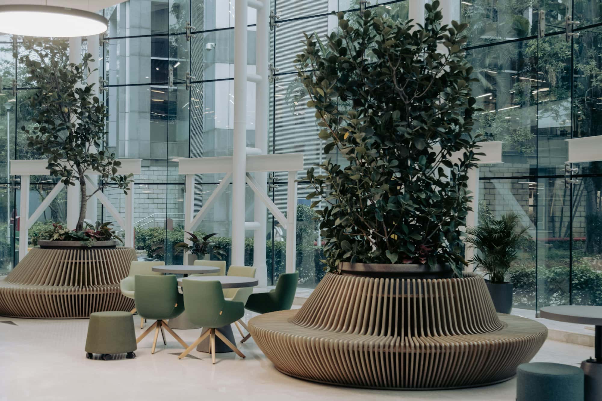 Indoor Office Plants on Rent