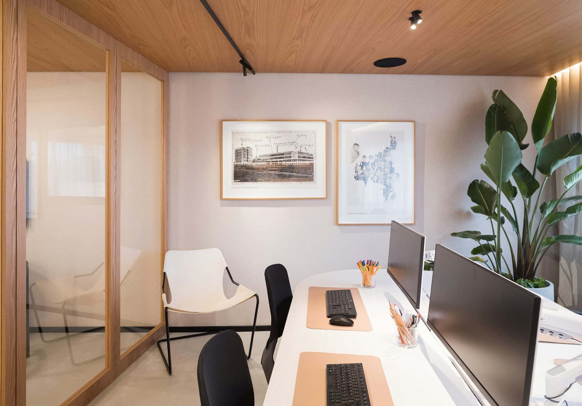 An office with tall plants beside the desks