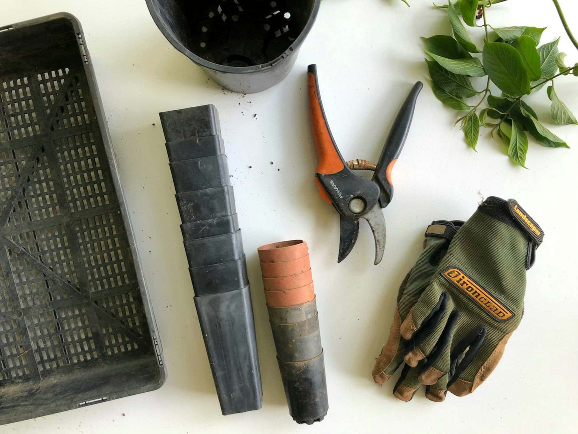 Pruning shears, gloves and pots