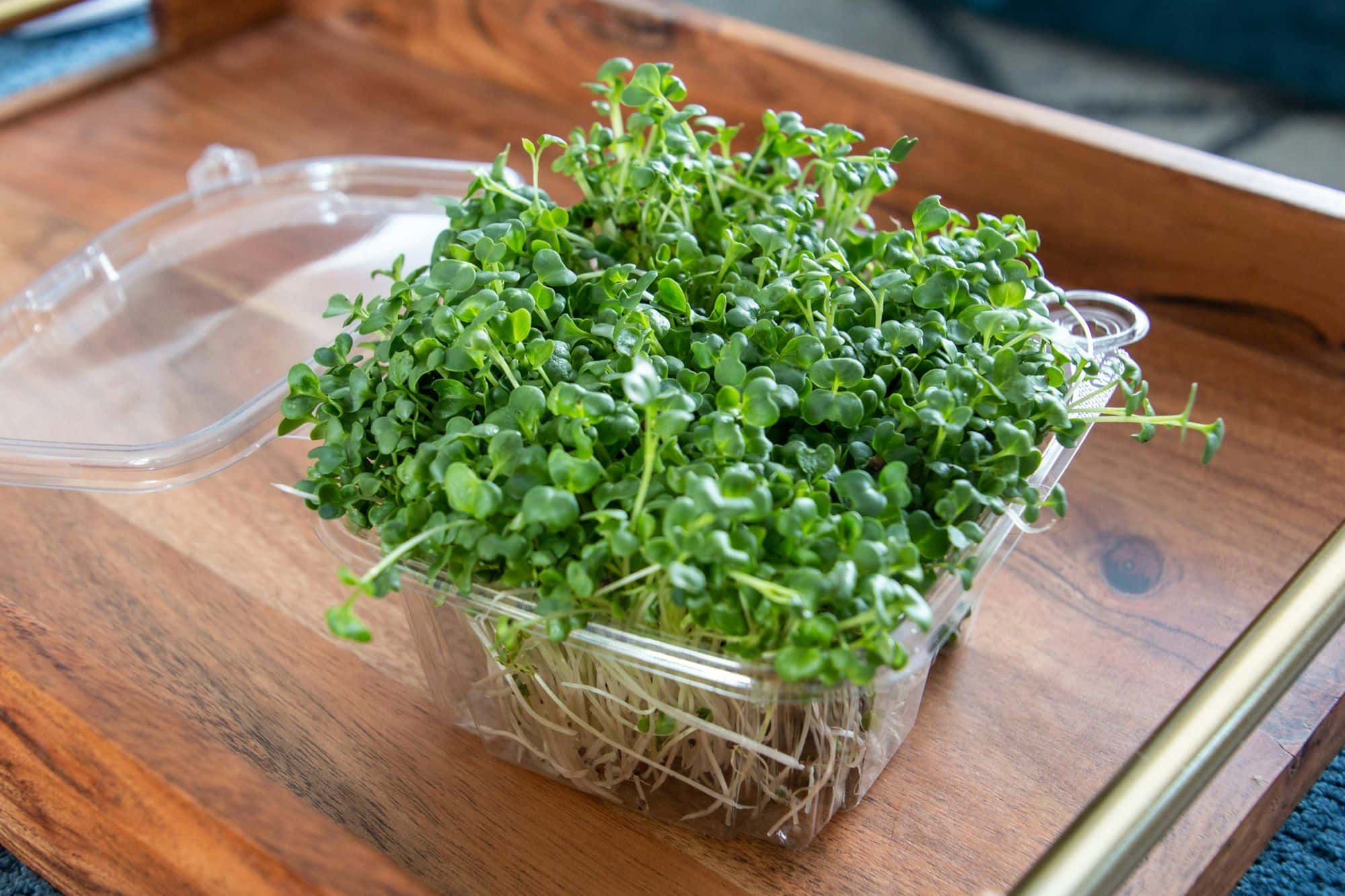 Fresh Microgreens Delivery