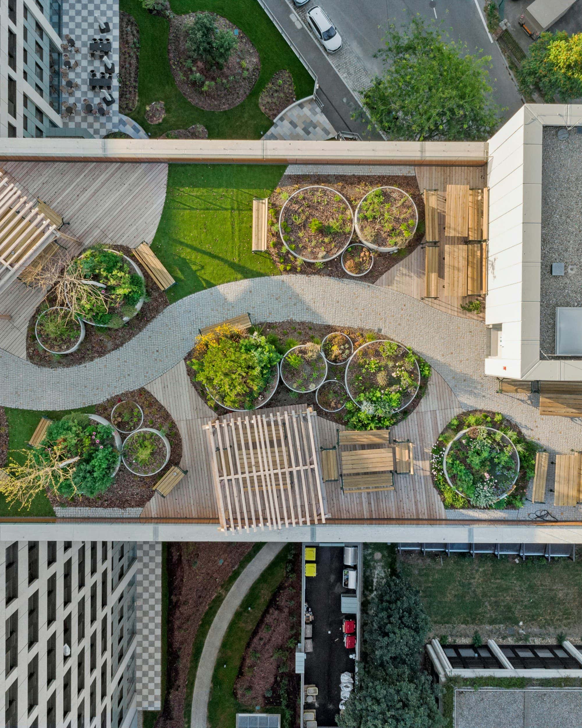 Terrace Garden Design and Setup