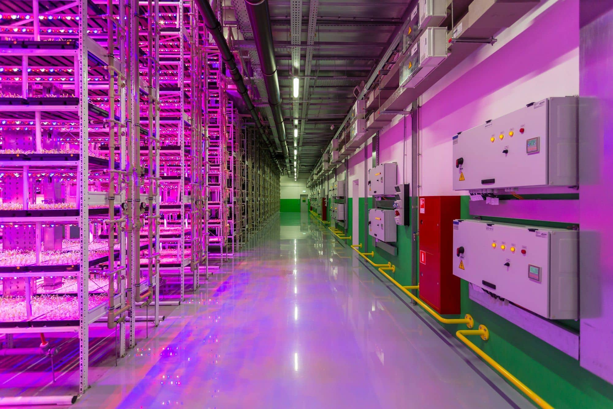 Corridor of an indoor farm with LED-lit racks on one side and electrical control panels on the wall