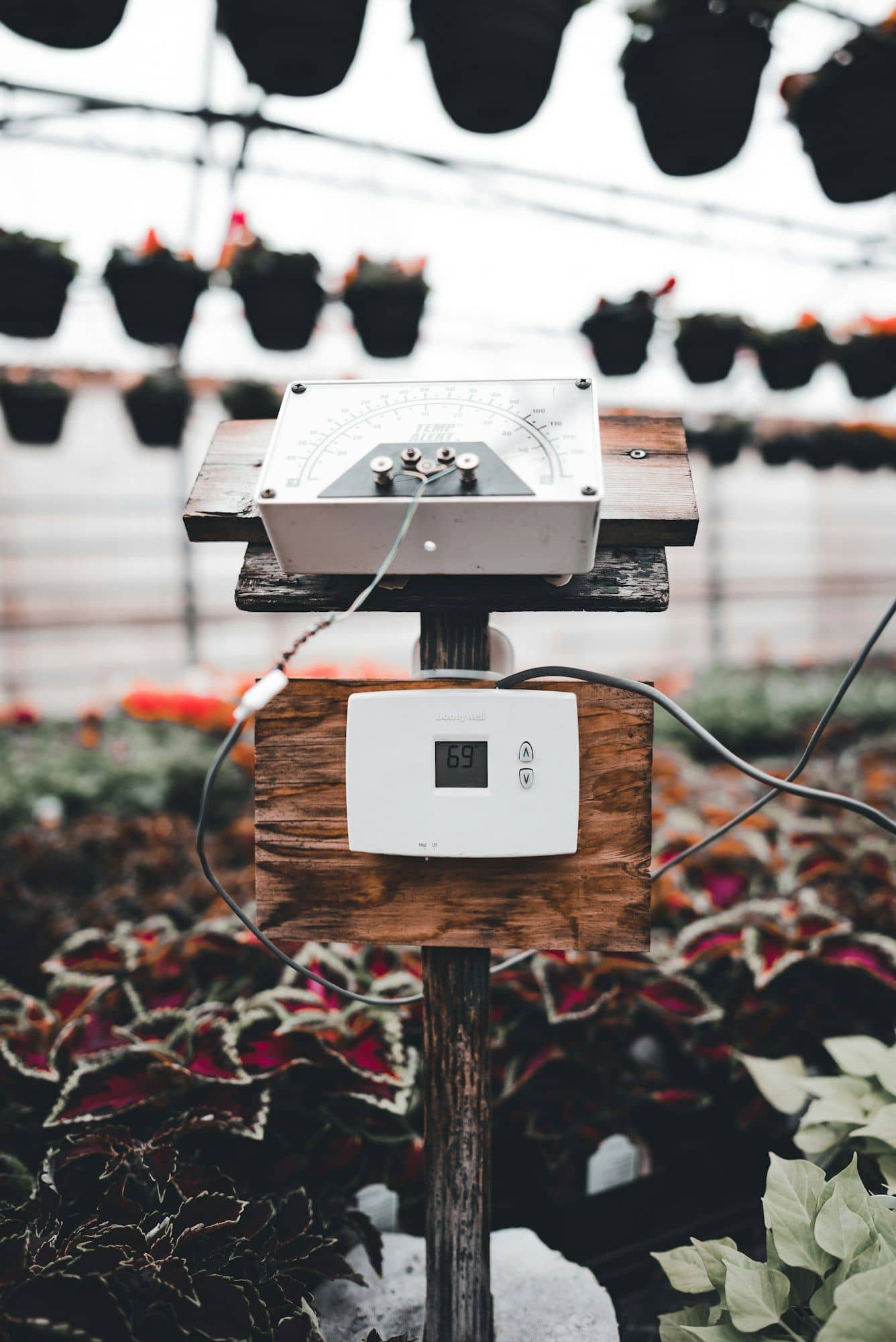 Temperature alarm dial and digital thermostat mounted on a post inside a greenhouse