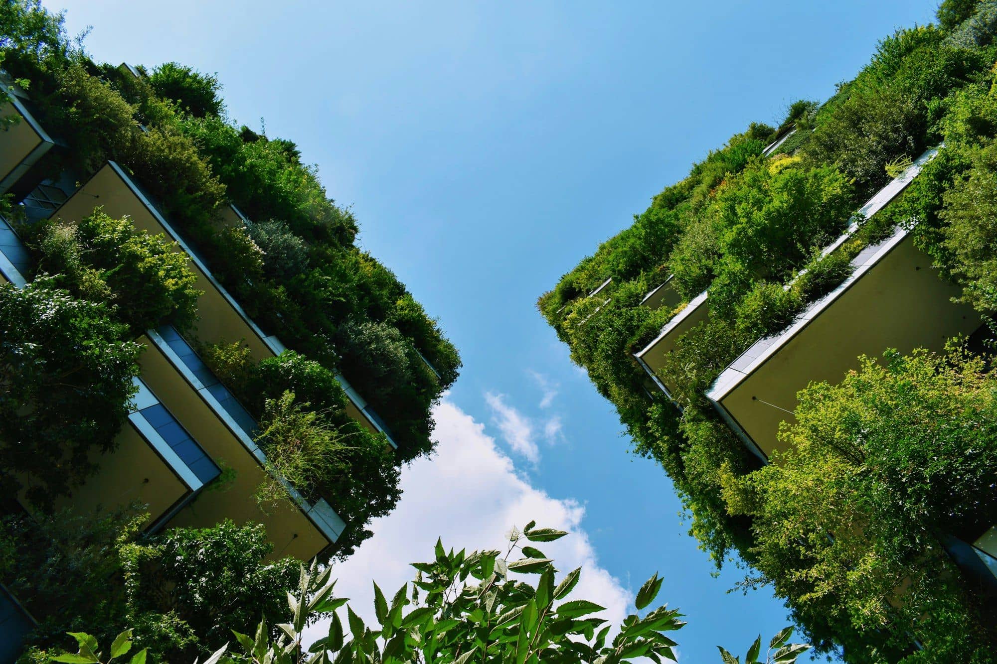 Looking up at residential towers covered in trees and plants on every balcony