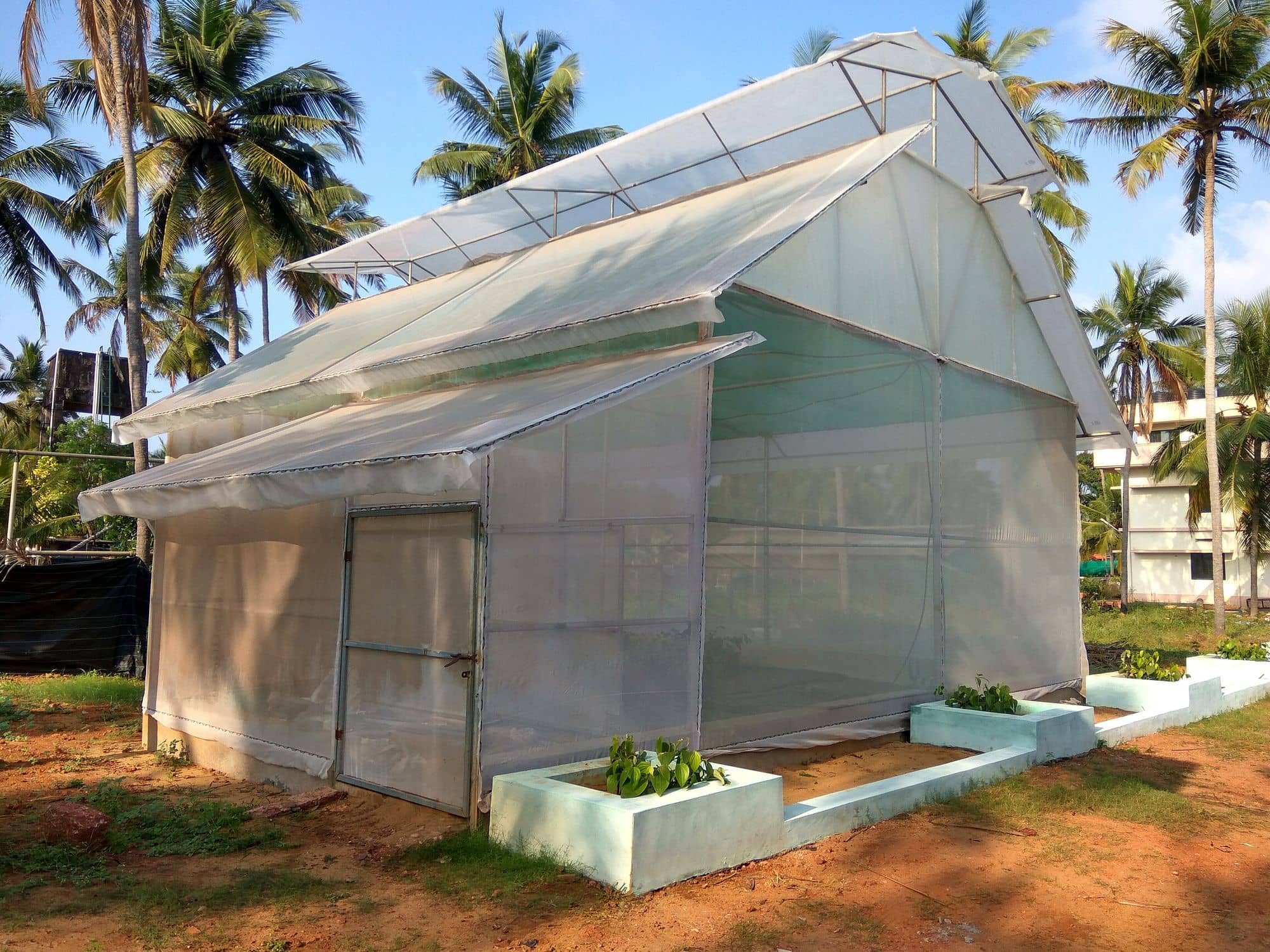 Small polyhouse with a plastic cover among coconut palms