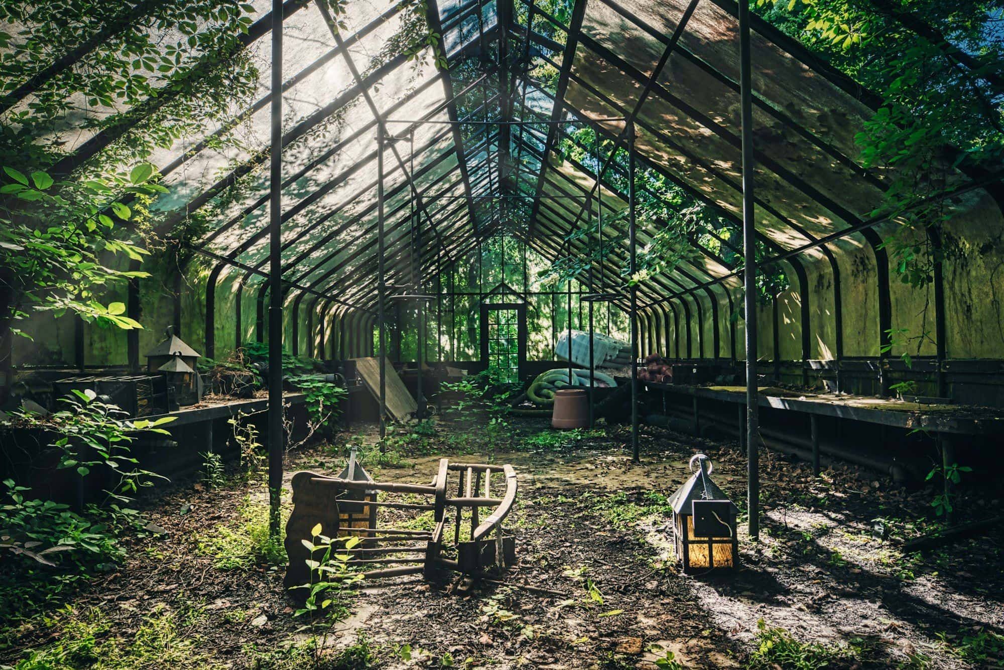 Abandoned greenhouse overgrown with weeds and old equipment