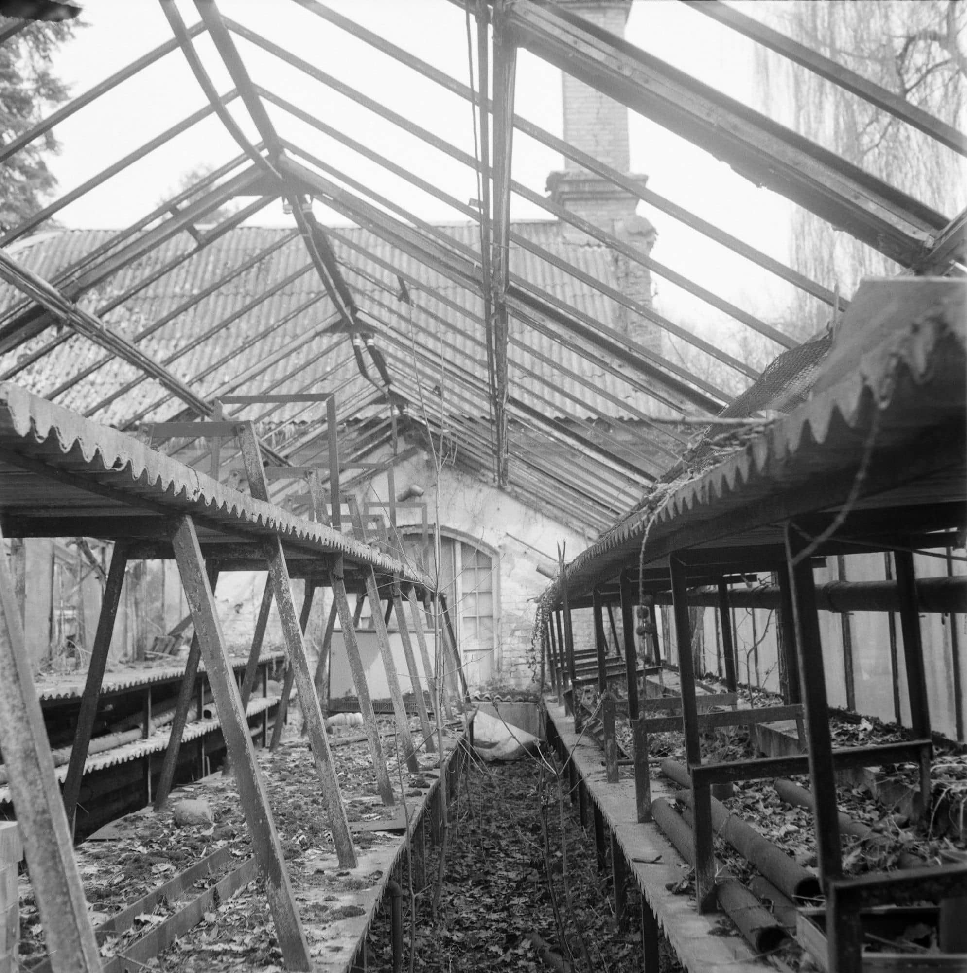 Black and white view of an empty derelict greenhouse with bare benches